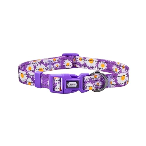 Olahibi Basic Hundehalsband, weiches und strapazierfähiges Polyester-Material, verstellbare Länge, für kleine Hunde (Größe S, lila Gänseblümchen) von Olahibi
