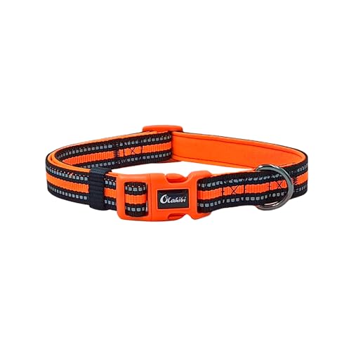 Olahibi Gepolstertes Neopren-Hundehalsband, strapazierfähiges Nylon-Material, reflektierende Streifen, weich und bequem für mittelgroße Hunde (Größe M, orangefarbenes Halsband) von Olahibi