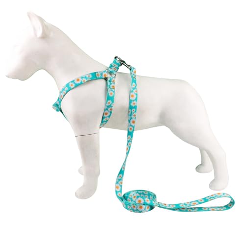 Olahibi Hundehalfter-Geschirr und Leine, kein Ziehen, einfach zu tragen für kleine Hunde, Größe S, grünes Gänseblümchenmuster von Olahibi
