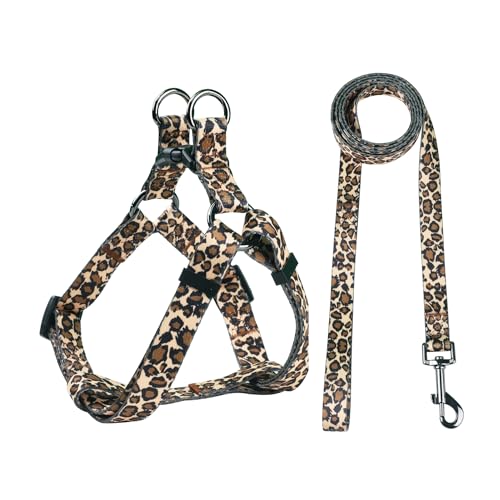Olahibi Hundehalftergeschirr-Set mit Leine, Leopardenmuster, kein Ziehen, einfach zu tragen für mittelgroße Hunde (M, Leoparden-Set) von Olahibi