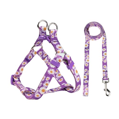 Olahibi Hundehalftergeschirr-Set mit Leine, kein Ziehen, einfach zu tragen für kleine Hunde, Violett mit Gänseblümchen-Muster von Olahibi