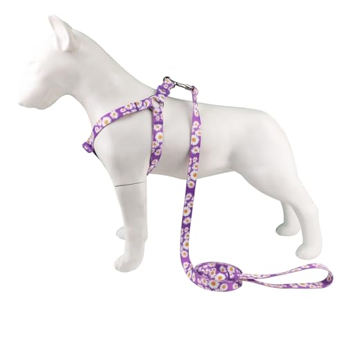 Olahibi Hundehalftergeschirr und Leine, mit Gänseblümchen-Muster, kein Ziehen, einfach zu tragen für mittelgroße Hunde, Größe M, Lila Gänseblümchen) von Olahibi