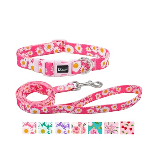 Olahibi Hundehalsband und Leine, Set mit Gänseblümchen-Muster, strapazierfähiges Polyester-Halsband und 150 cm passende Leine für kleine Hunde, Größe S, Rosa Gänseblümchen) von Olahibi