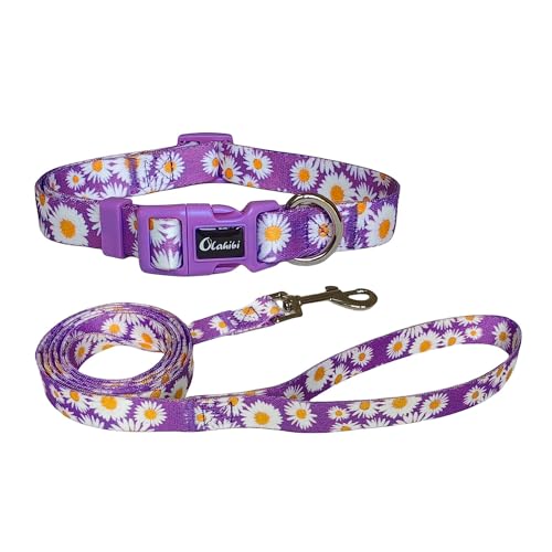 Olahibi Hundehalsband und Leine, Set mit Gänseblümchen-Muster, strapazierfähiges Polyester-Halsband und 150 cm passende Leine für kleine Hunde, Größe S, lila Gänseblümchen) von Olahibi