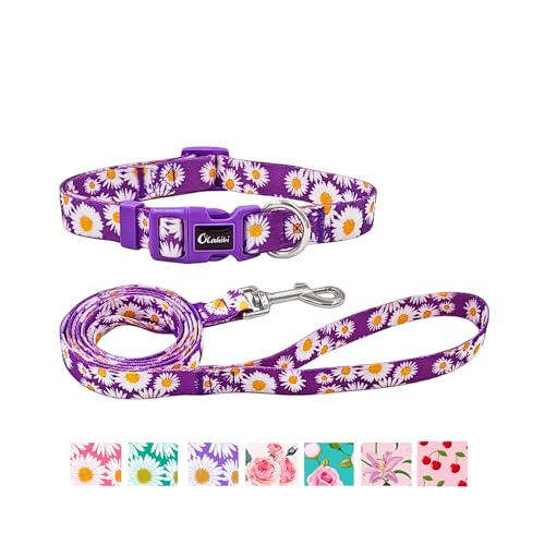 Olahibi Hundehalsband und Leine, Set mit Gänseblümchen-Muster, strapazierfähiges Polyester-Halsband und 150 cm passende Leine für mittelgroße Hunde, Größe M, Violett mit Gänseblümchenmuster von Olahibi