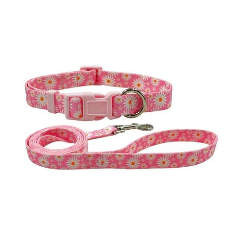 Olahibi Hundehalsband und Leine, niedliches Gänseblümchen-Blumenmuster, Polyester-Material, 1,5 m lange Leine, für mittelgroße Hunde (Größe M, Hellrosa Gänseblümchen) von Olahibi