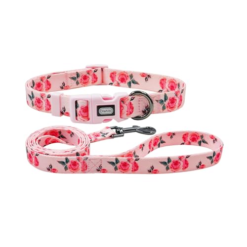 Olahibi Hundehalsband und Leine, niedliches Rosenmuster, Polyester-Material, 152 cm lange Leine, für mittelgroße Hunde (Größe M, rosa Rose) von Olahibi