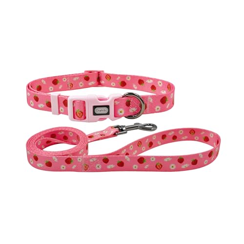 Olahibi Hundehalsband und Leine mit Blumenmuster, strapazierfähiges Polyester-Halsband und passende 150 cm lange Leine für kleine Welpen, Größe XS, Erdbeere Olahibi Hundehalsband und Leine mit Blumenmuster, strapazierfähiges Polyester-Halsband und passende 150 cm lange Leine für kleine Welpen, Größe XS, Erdbeere von Olahibi