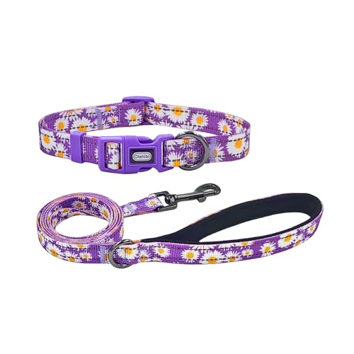 Olahibi Kombi-Set aus Hundehalsband und Leine, niedliches Gänseblümchenmuster, Polyester-Material, mit reflektierenden Streifen, 150 cm lange Leine, für große Hunde (L, Gänseblümchen) von Olahibi