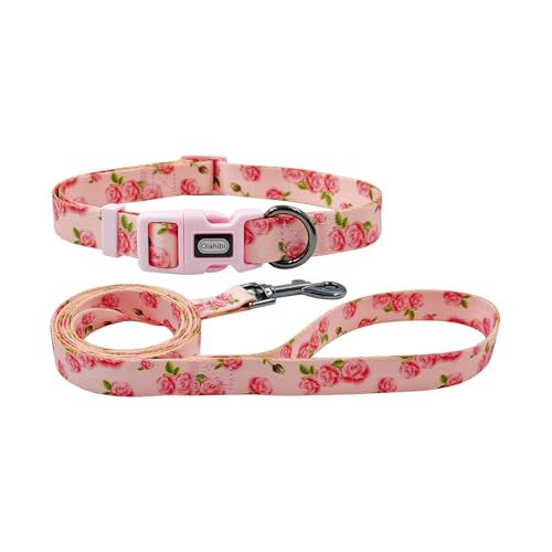 Olahibi Kombi-Set für Hundehalsband und Leine, Blumenmuster, Polyester-Material, 150 cm, passende Leine, für kleine Hunde (Größe S, Rosa Rose) von Olahibi