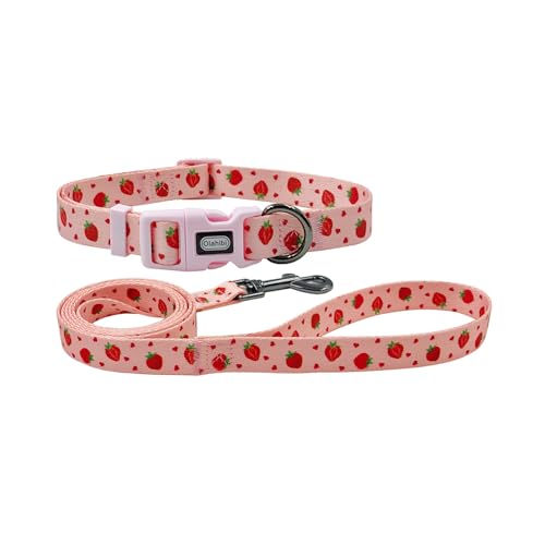 Olahibi Kombi-Set für Hundehalsband und Leine, Erdbeerfrucht-Muster, Polyester-Material, 150 cm, passende Leine, für mittelgroße Hunde (Größe M, Erdbeere) von Olahibi