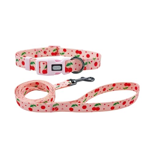 Olahibi Kombi-Set für Hundehalsband und Leine, Kirschfrucht-Muster, Polyester-Material, 150 cm, passende Leine, für mittelgroße Hunde (Größe M, Kirsche) von Olahibi