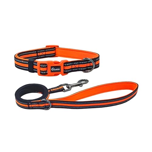 Olahibi Kombi-Set für Hundehalsband und Leine, Neopren, gepolstert, Polyester mit reflektierenden Streifen, 150 cm passende Leine, für mittelgroße Hunde (Größe M, Orange) von Olahibi