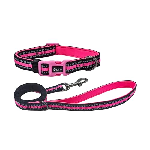Olahibi Kombi-Set für Hundehalsband und Leine, Neopren, gepolstert, Polyester mit reflektierenden Streifen, 150 cm passende Leine, für mittelgroße Hunde (Größe M, Rosa) von Olahibi