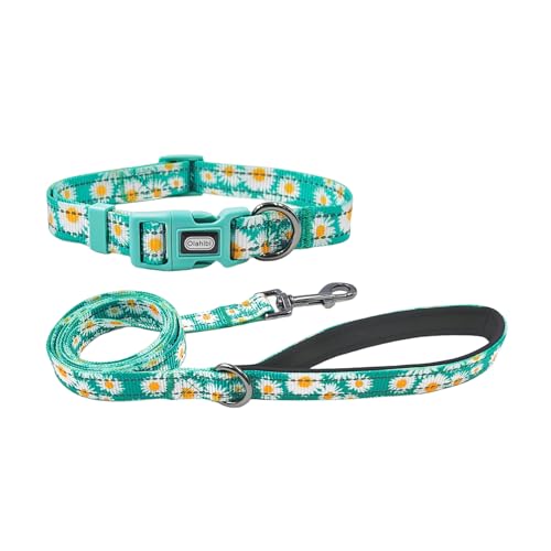 Olahibi Reflektierendes Hundehalsband-Leinen-Set, 150 cm, passende Leine, Blumenmuster, strapazierfähiges Nylon mit reflektierenden Streifen, 4 Größen für kleine, mittelgroße und große Hunde (Größe S, Olahibi Reflektierendes Hundehalsband-Leinen-Set, 150 cm, passende Leine, Blumenmuster, strapazierfähiges Nylon mit reflektierenden Streifen, 4 Größen für kleine, mittelgroße und große Hunde (Größe S, von Olahibi