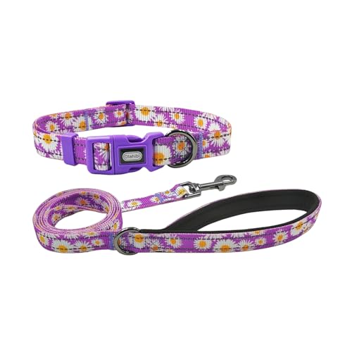 Olahibi Reflektierendes Hundehalsband-Leinen-Set, 150 cm, passende Leine, Blumenmuster, strapazierfähiges Nylon mit reflektierenden Streifen, 4 Größen für kleine, mittelgroße und große Hunde (XS, lila Olahibi Reflektierendes Hundehalsband-Leinen-Set, 150 cm, passende Leine, Blumenmuster, strapazierfähiges Nylon mit reflektierenden Streifen, 4 Größen für kleine, mittelgroße und große Hunde (XS, lila von Olahibi