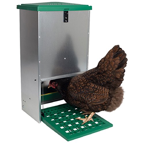 Olba Geflügelfuttersilo 20 kg - Automatischer Futterautomat mit Trittplatte - Mäusesicher und vogelsicher von Olba