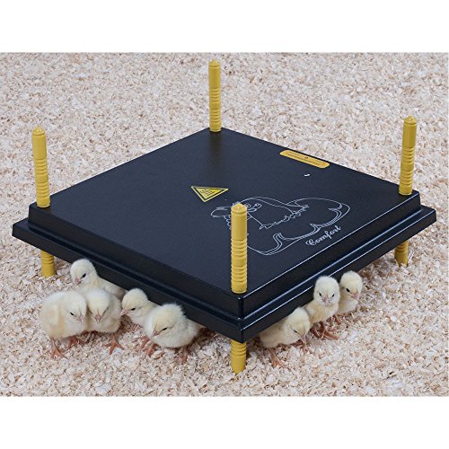 Olba Küken-Wärmeplatte Comfort 30 x 30 cm mit Regler - 20 Watt, Heizplatte, Kükenwärmer, Wärmelampe, Kunstglucke von Olba