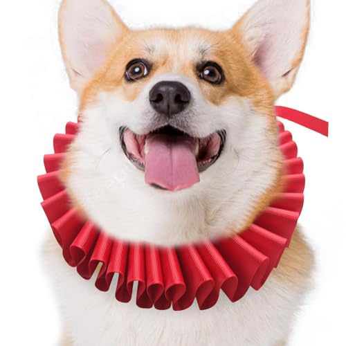 Oldmoom Clown Rüschenhalsband für Hund, Elisabethanisches Halsband, Halskragen Halskrause Elisabethanische Renaissance, Haustierkostüm-Halsband, Rüschenhalsband für kleine und mittelgroße Hunde Oldmoom Clown Rüschenhalsband für Hund, Elisabethanisches Halsband, Halskragen Halskrause Elisabethanische Renaissance, Haustierkostüm-Halsband, Rüschenhalsband für kleine und mittelgroße Hunde von Oldmoom