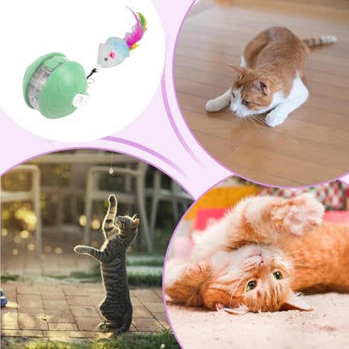 Oldmoom Interaktiver Ball Für Katzen, Intelligente Spielbälle Automatische Kätzchen Spielzeuge, Sicher Haustier Spielzeug Bewegungszubehör Für Haus Wohnung Garten Balkon Wohnzimmer Oldmoom Interaktiver Ball Für Katzen, Intelligente Spielbälle Automatische Kätzchen Spielzeuge, Sicher Haustier Spielzeug Bewegungszubehör Für Haus Wohnung Garten Balkon Wohnzimmer von Oldmoom