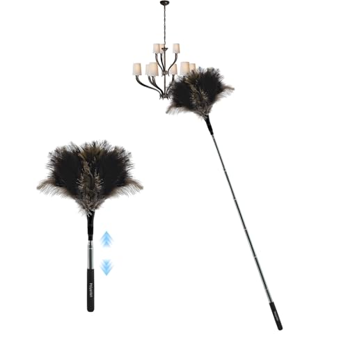 Olgary Straußenwedel, Staubwedel mit Teleskopstiel, Ausziehbar bis 100 cm Staubfänger, Perfekt für hohe Oberflächen, Deckenventilatoren und Empfindliche Einrichtungen von Olgary