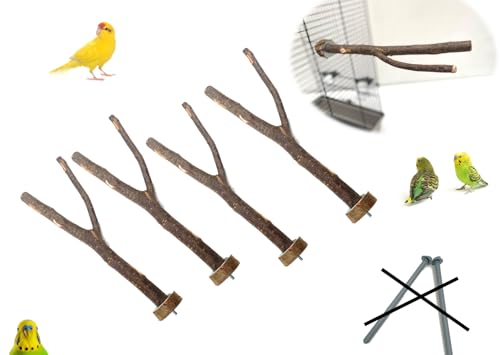 Ollesch 4 Sitzstangen Sitzzweige aus Naturholz | Haselnussholz | IDEAL ZUR NATÜRLICHEN Ausstattung IM VOGELKÄFIG | Unbehandeltes Holz | Anknabbern unbedenklich von Ollesch