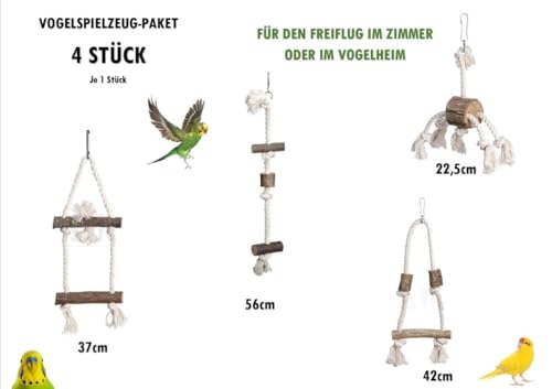 4er Set Vogelspielzeug für Vögel, Schaukel, Leiter, Kletterseil zum Aufhängen, Nymphensittiche, Sittiche Finken von Ollesch