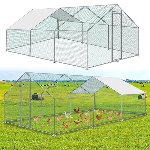 Ollewiellan 3x6x2m Hühnerstall Freilaufgehege Metall Freigehege, Hühnerkäfig Kleintierstall Voliere mit Dachplane, Heimtiergehege für Hühner Geflügel Kleintiere Ollewiellan 3x6x2m Hühnerstall Freilaufgehege Metall Freigehege, Hühnerkäfig Kleintierstall Voliere mit Dachplane, Heimtiergehege für Hühner Geflügel Kleintiere von Ollewiellan