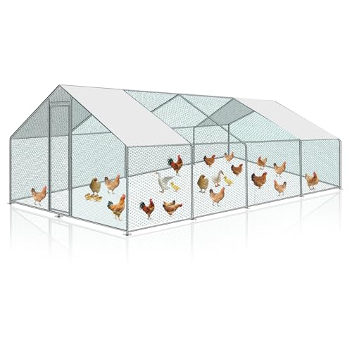 Ollewiellan 3x8x2m Hühnerstall Freilaufgehege Metall Freigehege, Hühnerkäfig Kleintierstall Voliere mit Dachplane, Heimtiergehege für Hühner Geflügel Kleintiere Ollewiellan 3x8x2m Hühnerstall Freilaufgehege Metall Freigehege, Hühnerkäfig Kleintierstall Voliere mit Dachplane, Heimtiergehege für Hühner Geflügel Kleintiere von Ollewiellan