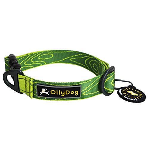 OllyDog Flagstaff Halsband, Gurtband Hundehalsband mit seitlicher Schnalle, Welpenhalsband, ideal für den täglichen Gebrauch, Reisen, Wandern (klein, Salbeirinde) von OllyDog