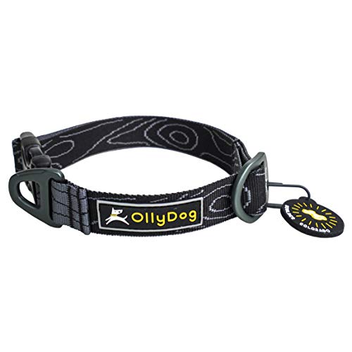 OllyDog Flagstaff Halsband, Gurtband Hundehalsband mit seitlicher Schnalle, leichtes Trainingshalsband für große, mittelgroße und kleine Hunde (Medium, Rabenrinde) von OllyDog