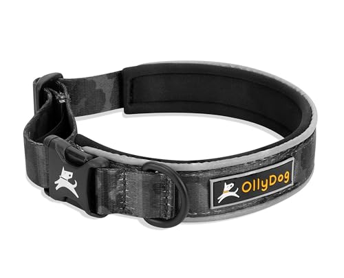 OllyDog Flagstaff Reflektierendes Komfort-Halsband, Neopren Gepolstertes Hundehalsband, Reflektierende Ränder für Nachtläufe, Extra Komfort für aktive Hunde (Medium, Dream Camo) von OllyDog