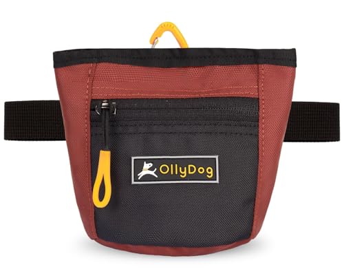 OllyDog Goodie Treat Bag, Hundeleckerlibeutel, Hüftgurtclip für freihändiges Training, Magnetverschluss, Hundetraining und Verhaltenshilfen, drei Tragevarianten (Cider) von OllyDog