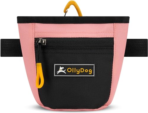 OllyDog Goodie Treat Bag, Leckerlibeutel Hund, Taillengürtelclip für freihändiges Training, Magnetverschluss, Hundetraining und Verhaltenshilfen, Drei Tragemöglichkeiten (Erdbeerei) von OllyDog