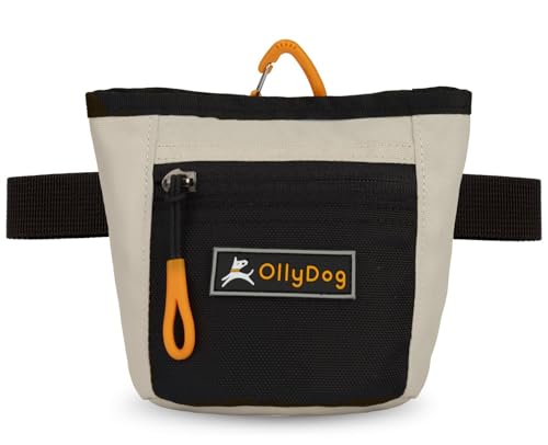 OllyDog Goodie Treat Bag, Leckerlibeutel Hund, Taillengürtelclip für freihändiges Training, Magnetverschluss, Hundetraining und Verhaltenshilfen, Drei Tragevarianten (Bluff) von OllyDog