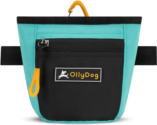 OllyDog Goodie Treat Bag, Leckerlibeutel Hund, Taillengürtelclip für freihändiges Training, Magnetverschluss, Hundetraining und Verhaltenshilfen, drei Tragevarianten (Bright Aqua) von OllyDog