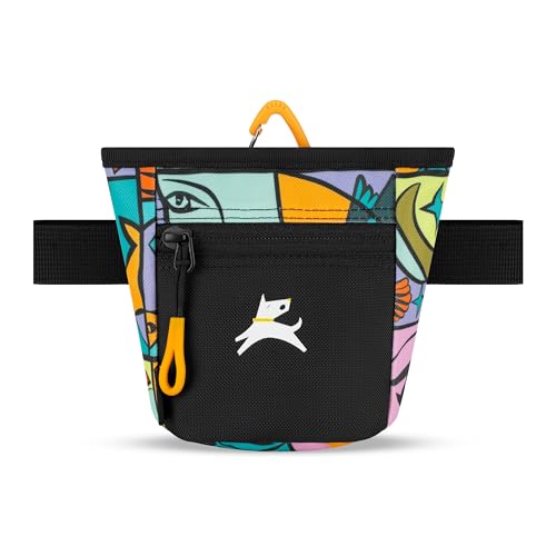 OllyDog Goodie Treat Bag, Leckerlibeutel Hund, Taillengürtelclip für freihändiges Training, Magnetverschluss, Hundetraining und Verhaltenshilfen, drei Tragevarianten (Cloud9) von OllyDog
