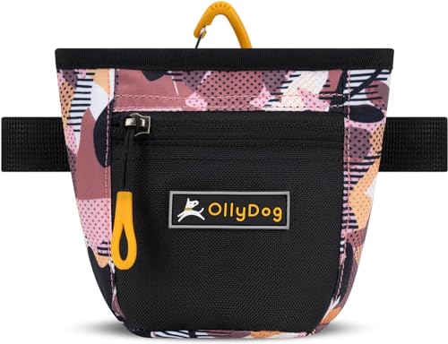 OllyDog Goodie Treat Bag, Leckerlibeutel Hund, Taillengürtelclip für freihändiges Training, Magnetverschluss, Hundetraining und Verhaltenshilfen, drei Tragevarianten (Herbst Camo) von OllyDog