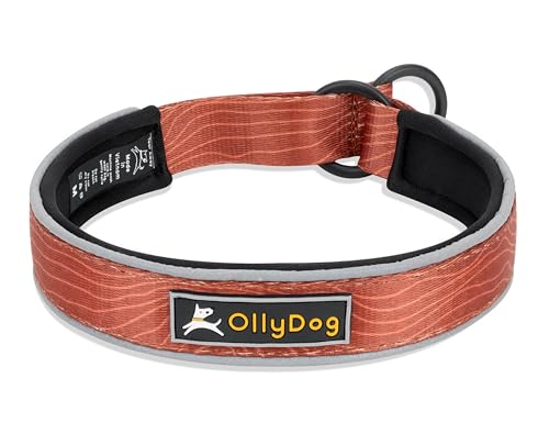 OllyDog Martingale Reflektierendes Komfort-Halsband, reflektierendes Schlupfhalsband für Nachtläufe, weiches Neopren gepolstert, extra Komfort für aktive Hunde (groß, Lehmholzmaserung) von OllyDog