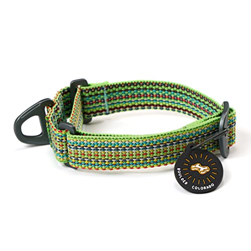 OllyDog Rescue Martingale Halsband für Hunde, umweltfreundliches, leichtes Trainingshalsband für große, mittelgroße und kleine Hunde (klein, prismgrün) von OllyDog