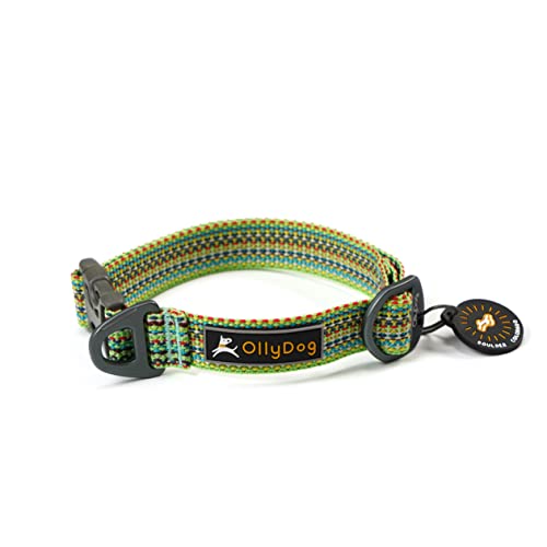 OllyDog Rescue Verstellbares Hundehalsband mit stabiler Schnalle, leichtes Trainingshalsband für große, mittelgroße und kleine Hunde (Mittel, Prismgrün) von OllyDog