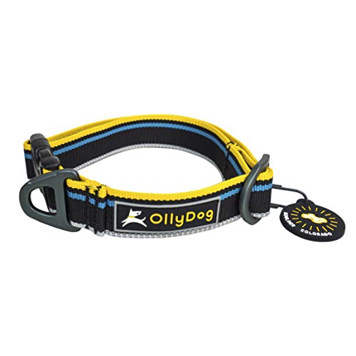 OllyDog Urban Journey Reflektierendes Hundehalsband mit Stabiler Schnalle, leichtes Trainingshalsband für große, mittelgroße und kleine Hunde (klein, anthrazit) von OllyDog