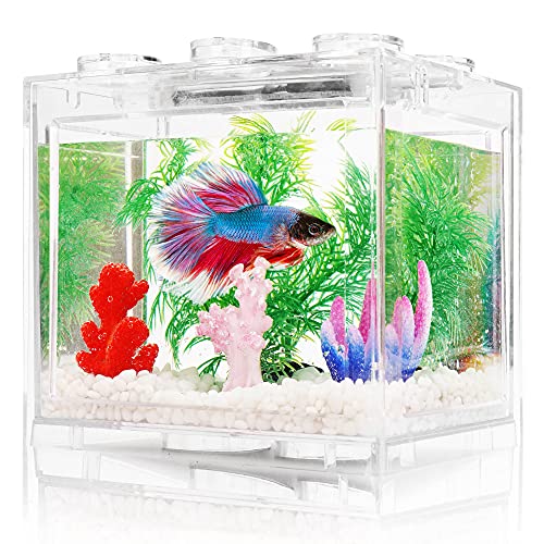 Kampffisch Aquarium Klein Komplettset, 2 L Aquarium Set Komplett mit LED- Beleuchtung, Weißem Kies, Künstlichen Korallen und Wasserpflanzen von Oltraman