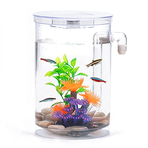 Kampffisch Aquarium Klein Komplettset, 3.5 L Aquarium Set Komplett mit LED-Beleuchtung, Kieselsteinen, künstlichen Korallen und Wasserpflanzen sowie automatischer Reinigungs- und Abwassersystem Kampffisch Aquarium Klein Komplettset, 3.5 L Aquarium Set Komplett mit LED-Beleuchtung, Kieselsteinen, künstlichen Korallen und Wasserpflanzen sowie automatischer Reinigungs- und Abwassersystem von Oltraman