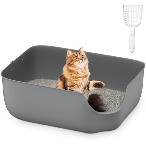 Olurrsia Katzentoilette, 56L x 42B x 22H cm Katzenklo mit Hohem Rand, Für Kleine und Mittelgroße Katzen, Katzentoilette mit Leder-Seitengriff & Streuschaufel, Grau von Olurrsia