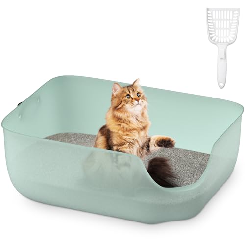 Olurrsia Katzentoilette, 56L x 42B x 22H cm Katzenklo mit Hohem Rand, Für Kleine und Mittelgroße Katzen, Katzentoilette mit Leder-Seitengriff & Streuschaufel, Transparentes Grün von Olurrsia