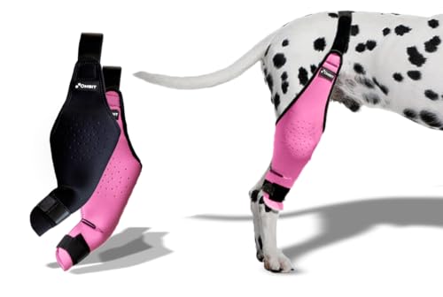Ombit Pets Dog Kniebandage für gerissene Kreuzbeine, Hüftstabilisator, Erholung/Prävention (Hellrosa, klein) von Ombit