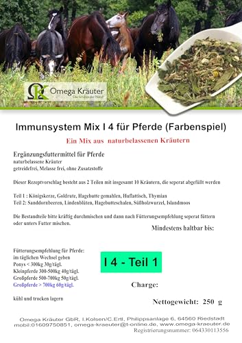 Immunsystem 2 Phasen Kombi I 4 (2500g) von Omega Kräuter