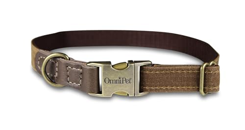 OmniPet Hundehalsband aus gewachstem Segeltuch, 1,9 cm breit, verstellbar 35,6 cm – 50,8 cm, robuster Nylonkern mit Messingbeschlägen, Braun OmniPet Hundehalsband aus gewachstem Segeltuch, 1,9 cm breit, verstellbar 35,6 cm – 50,8 cm, robuster Nylonkern mit Messingbeschlägen, Braun von OmniPet
