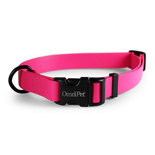 OmniPet Karnevals-Hundehalsband, Himbeere, 1,9 cm breit, passend für Halsumfang von 35,6 - 50,8 cm, wasserdicht und geruchsabweisend, Beta BioThane Haustierhalsband, hergestellt in den USA von OmniPet